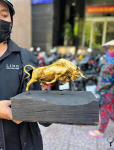 Những điều bạn cần biết về tượng bò tót đồng và ý nghĩa trong phong thủy